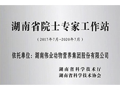 湖南省院士專家工作站