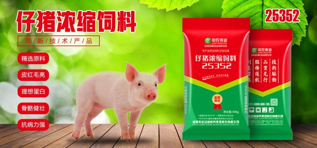 湖南偉業集團,偉業動物,豬場管理,非常規飼料原料開發,飼料