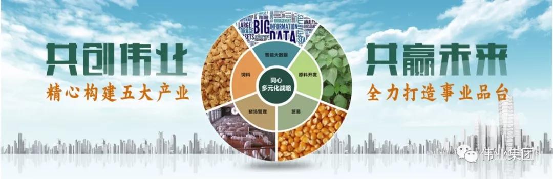 湖南偉業(yè)集團(tuán),偉業(yè)動(dòng)物,豬場(chǎng)管理,非常規(guī)飼料原料開發(fā),飼料