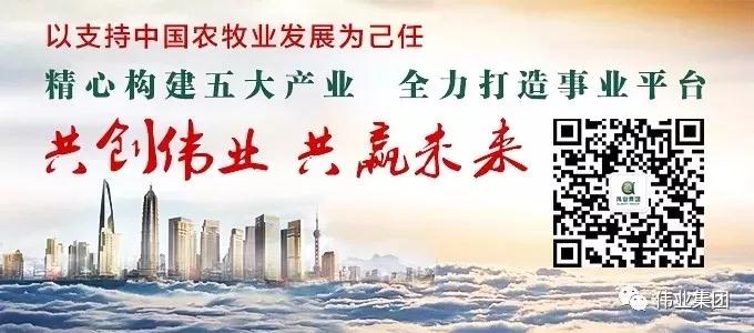 湖南偉業(yè)集團(tuán),偉業(yè)動(dòng)物,豬場(chǎng)管理,非常規(guī)飼料原料開發(fā),飼料