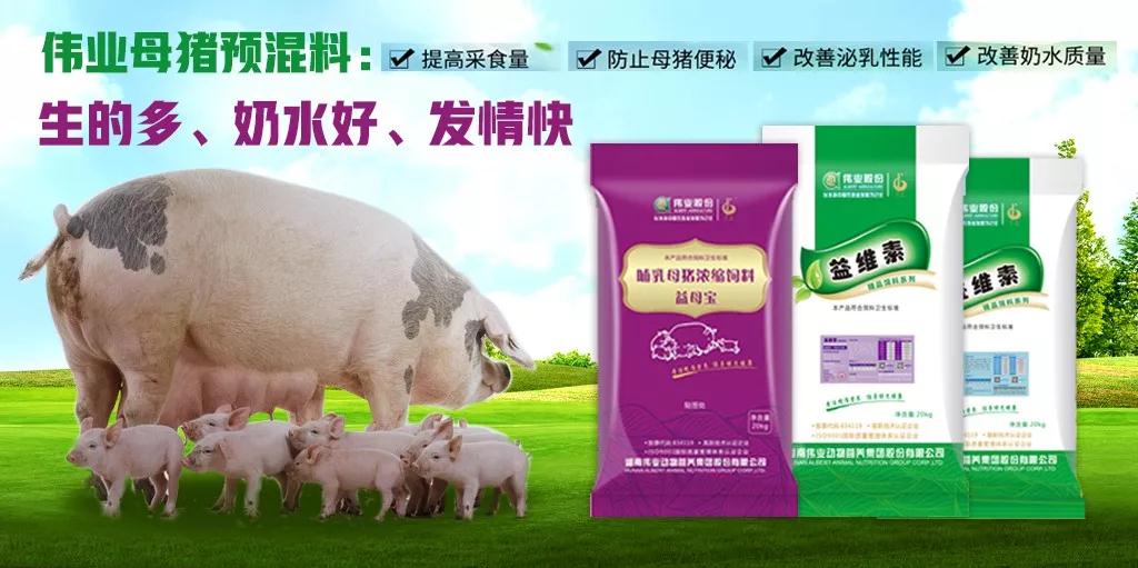 湖南偉業(yè)集團,偉業(yè)動物,豬場管理,非常規(guī)飼料原料開發(fā),飼料