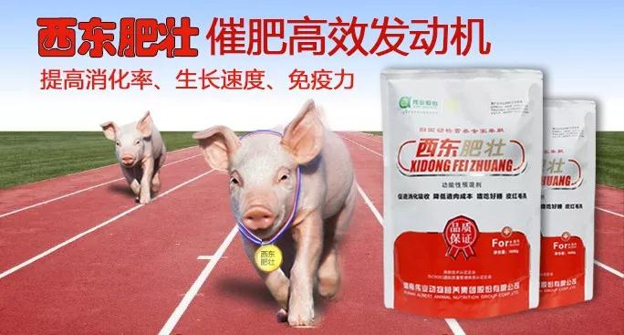 湖南偉業集團,偉業動物,豬場管理,非常規飼料原料開發,飼料