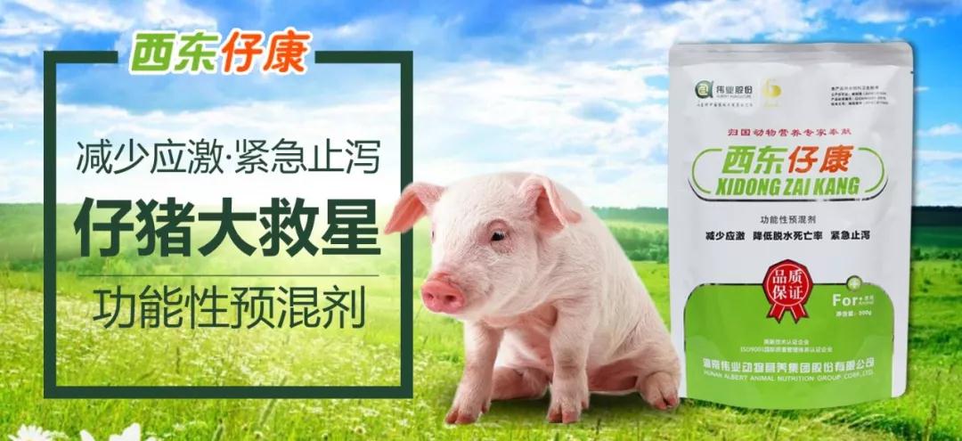 湖南偉業集團,偉業動物,豬場管理,非常規飼料原料開發,飼料